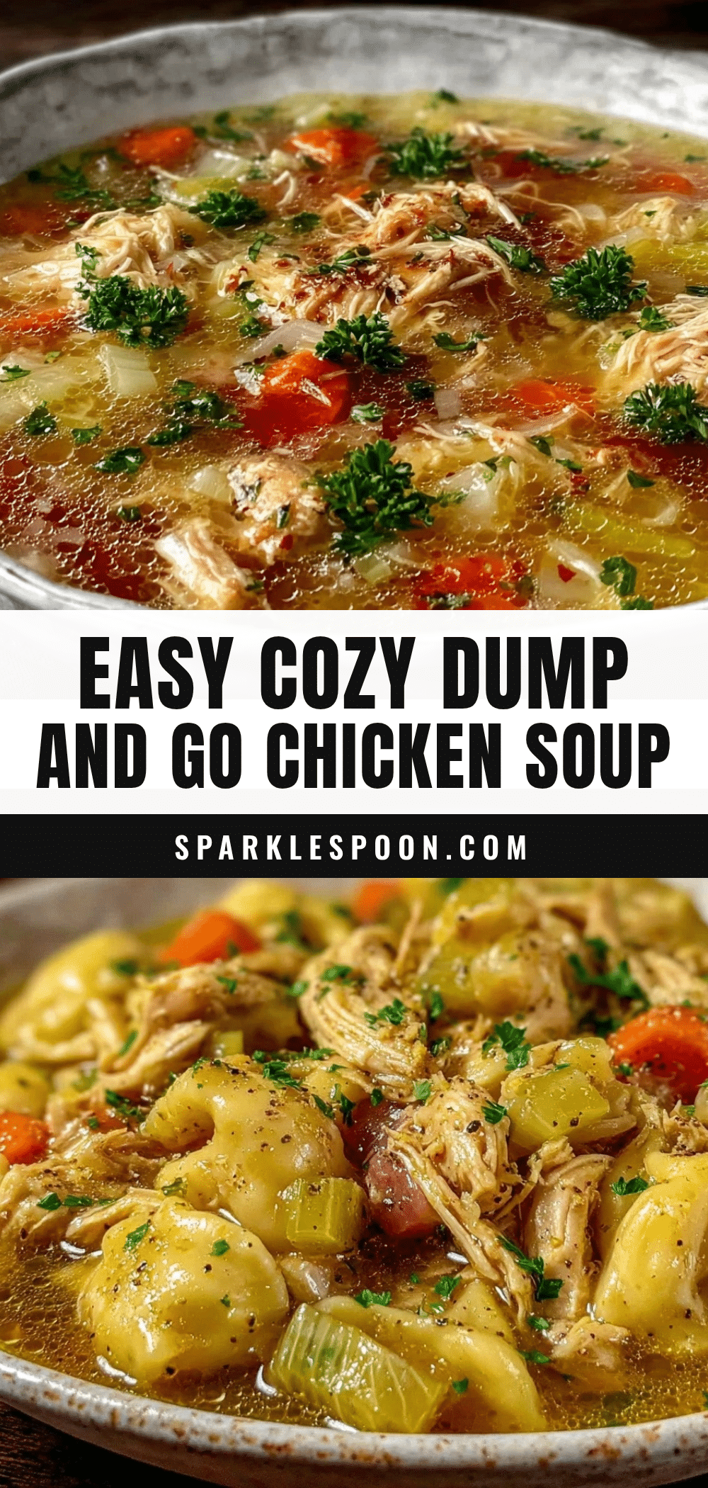 slow cooker chicken soup recipe