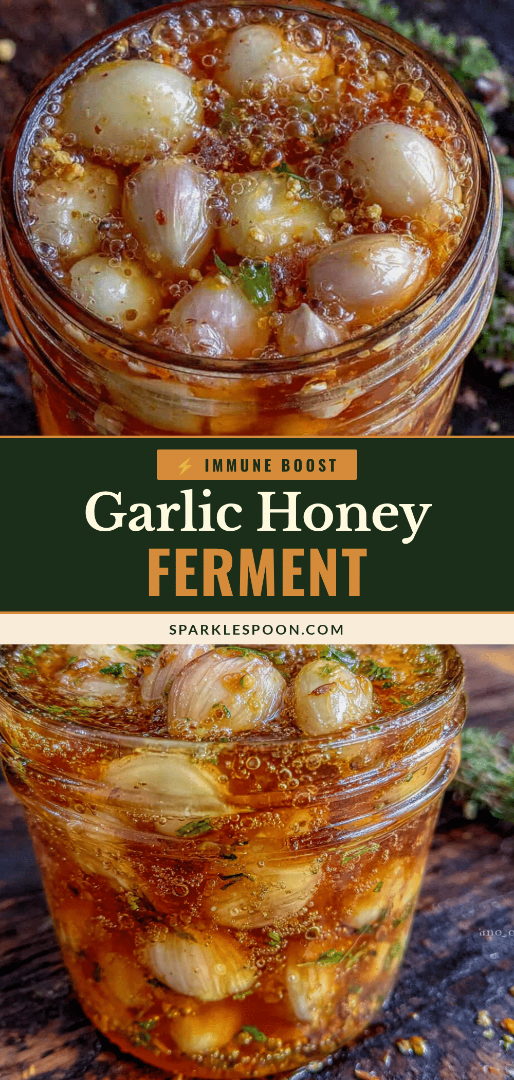 garlic honey ferment recipe