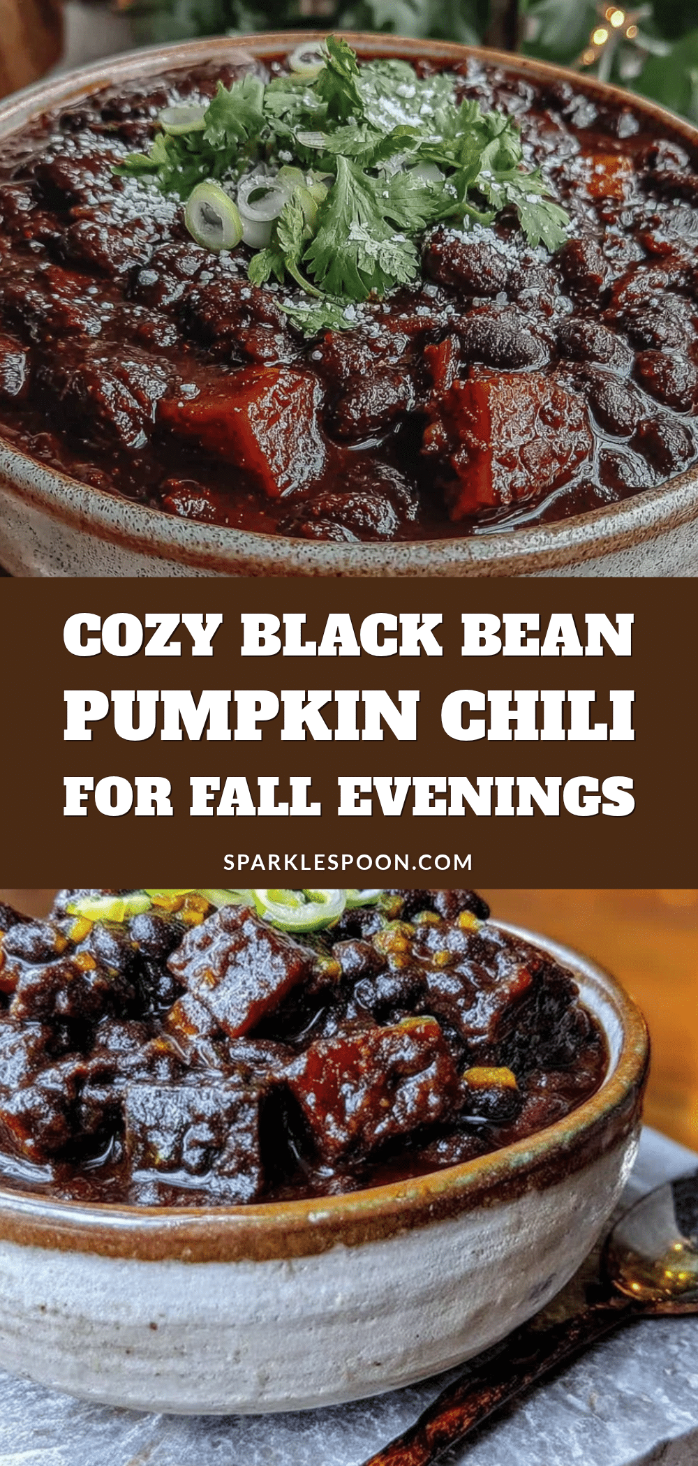 black bean pumpkin chili recipe