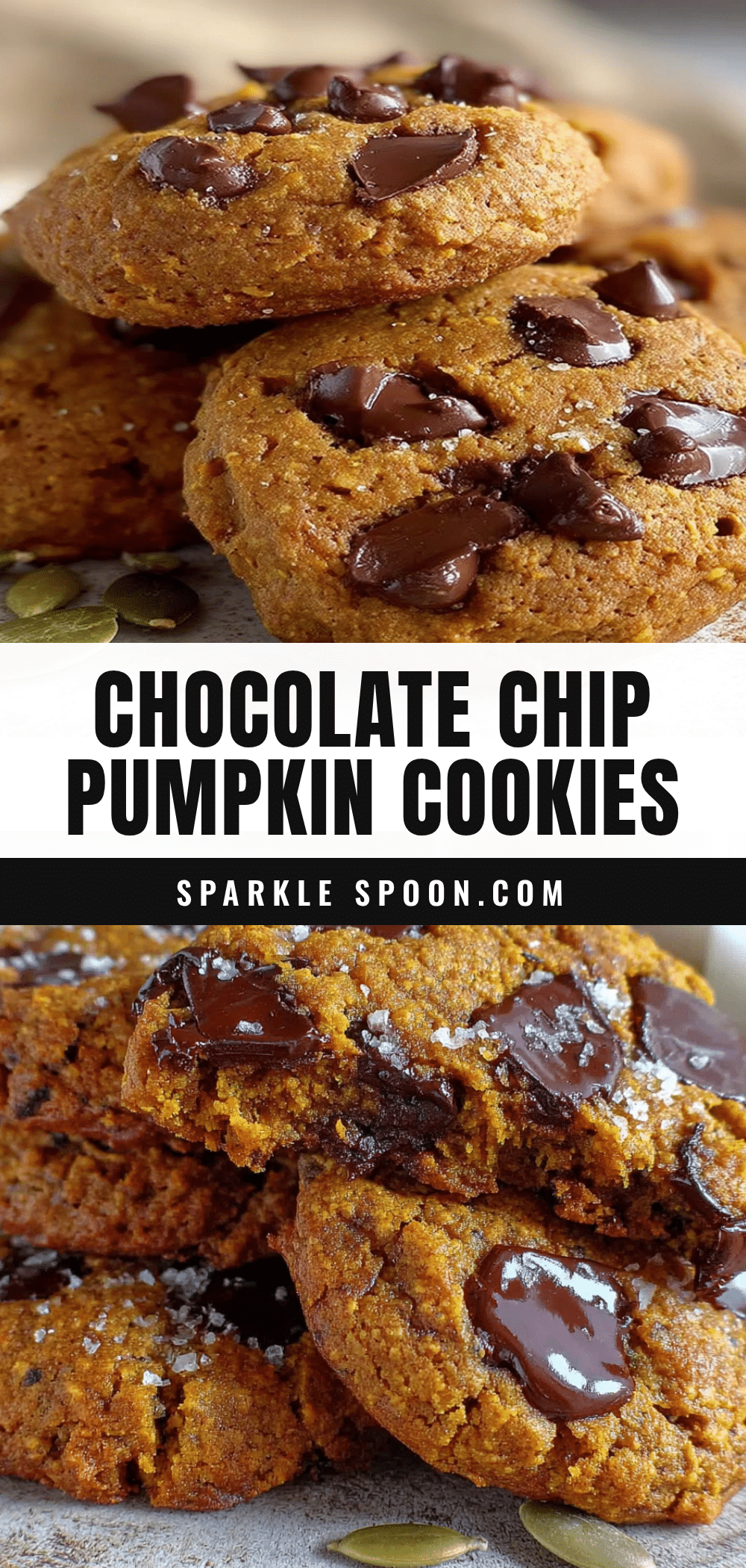 Chewy Spiced Pumpkin Chocolate Chip Cookies recipe