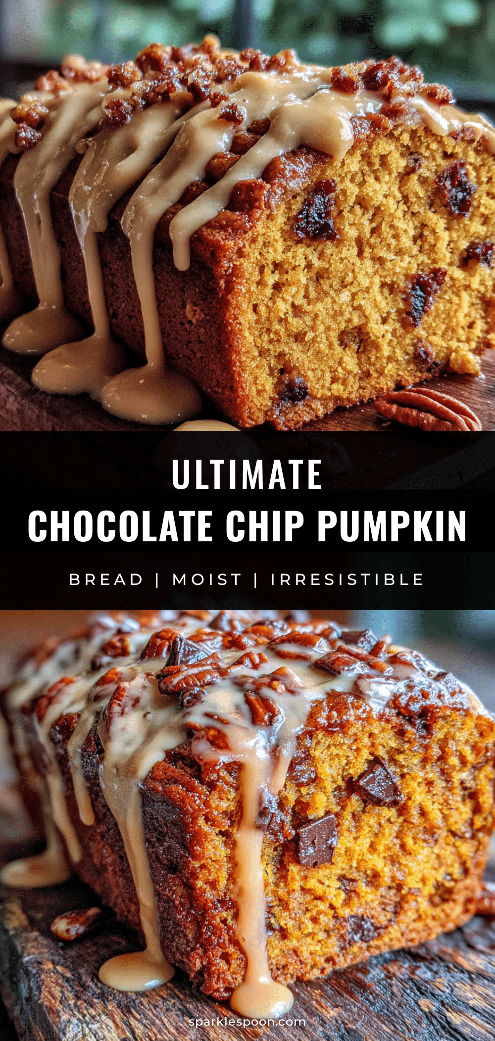 chocolate chip pumpkin bread recipe
