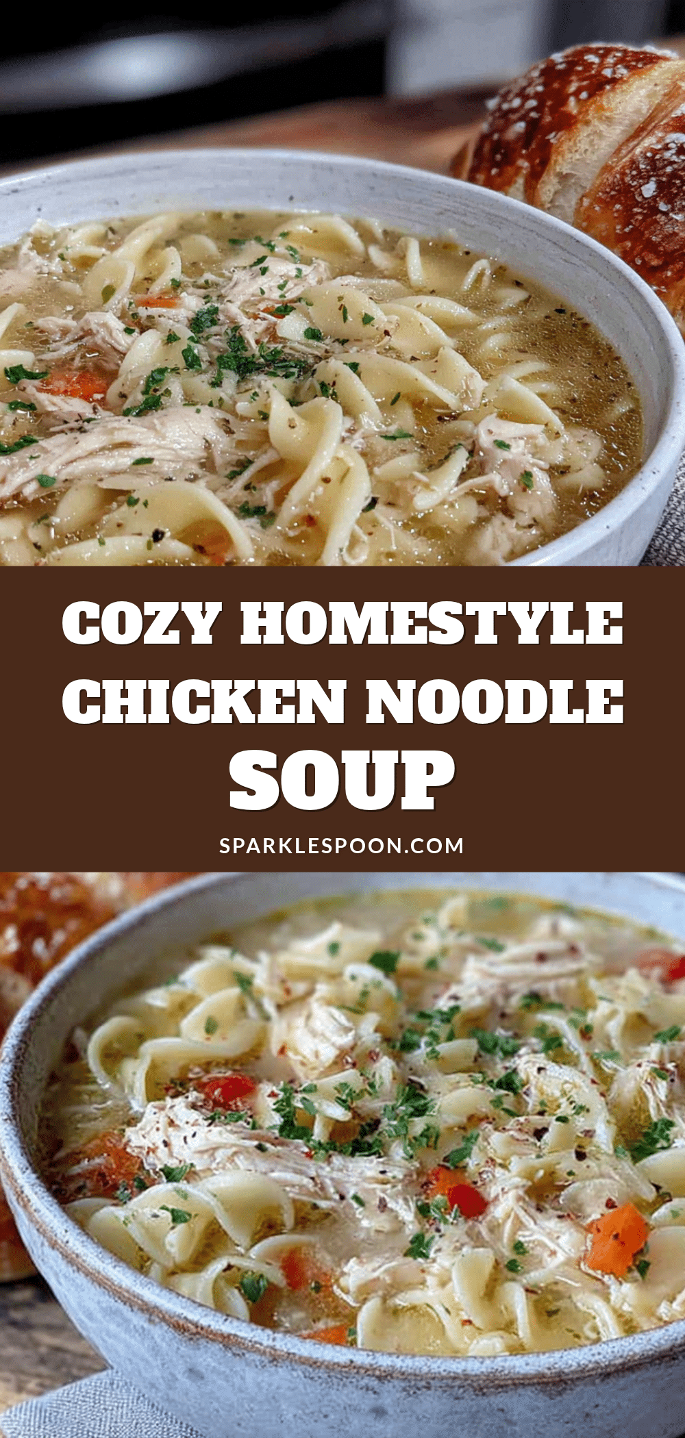 cozy homestyle chicken noodle soup recipe