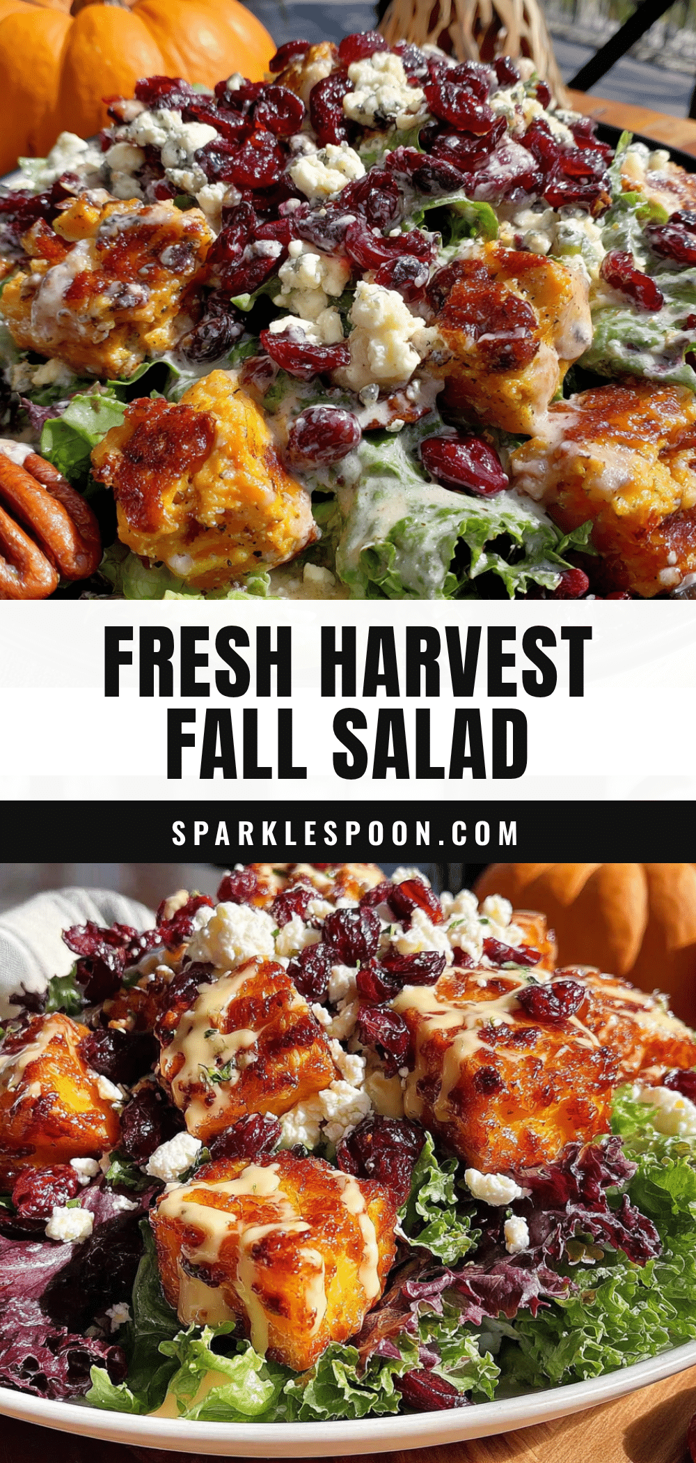 harvest fall salad with maple vinaigrette recipe